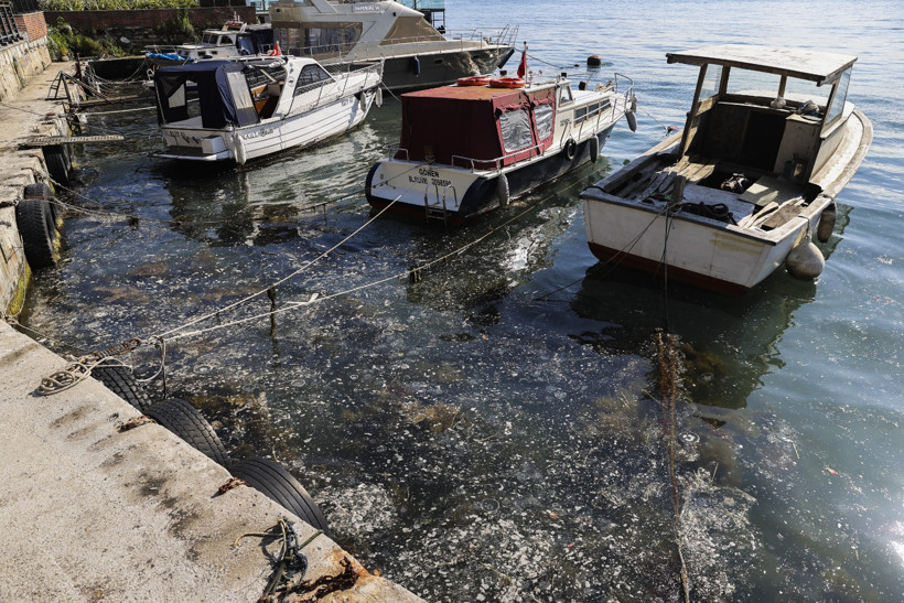 Kabus geri döndü! Beykoz sahilinde deniz yüzeyinde müsilaj görüldü - Resim : 1