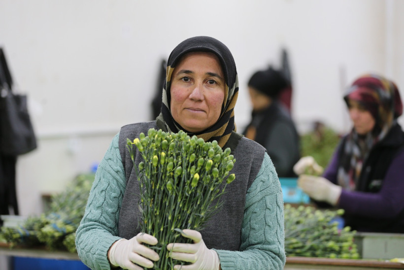 Dünyanın kadınlarına Türkiye'den 75 milyon dal çiçek - Resim : 2