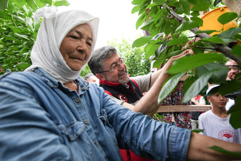 Bakan Yumaklı İzmir’de Kiraz Hasadına Katıldı: “2026 Desteklerini Güncelleyeceğiz” - Resim : 3