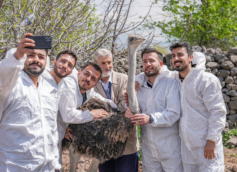 Yalnızlıktan strese giren firari deve kuşu Hüdhüd'e eş aranıyor - Resim : 2