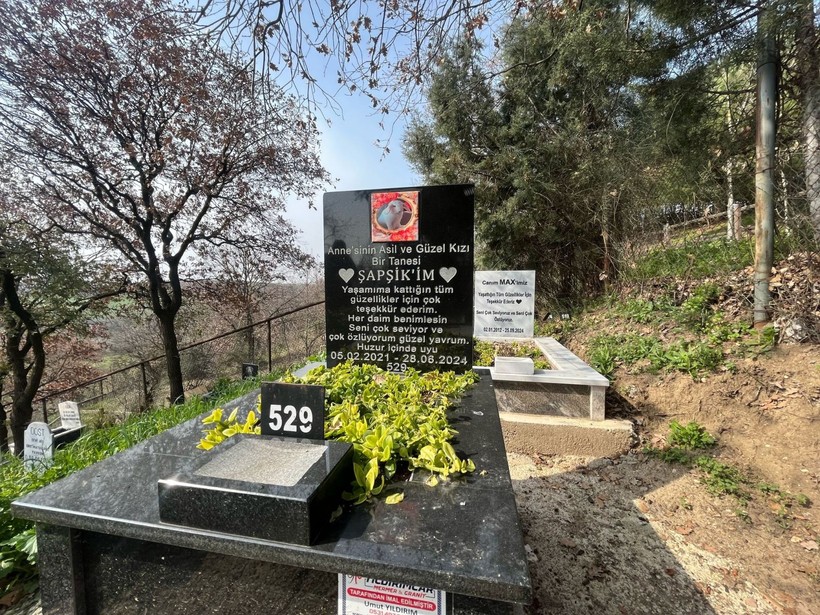 Evcil hayvanlar için 2 bin 500 liraya özel mezar yeri; papağan da gömüldü tavşan da - Resim: 1