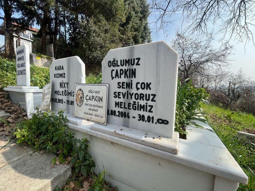 Evcil hayvanlar için 2 bin 500 liraya özel mezar yeri; papağan da gömüldü tavşan da - Resim: 7
