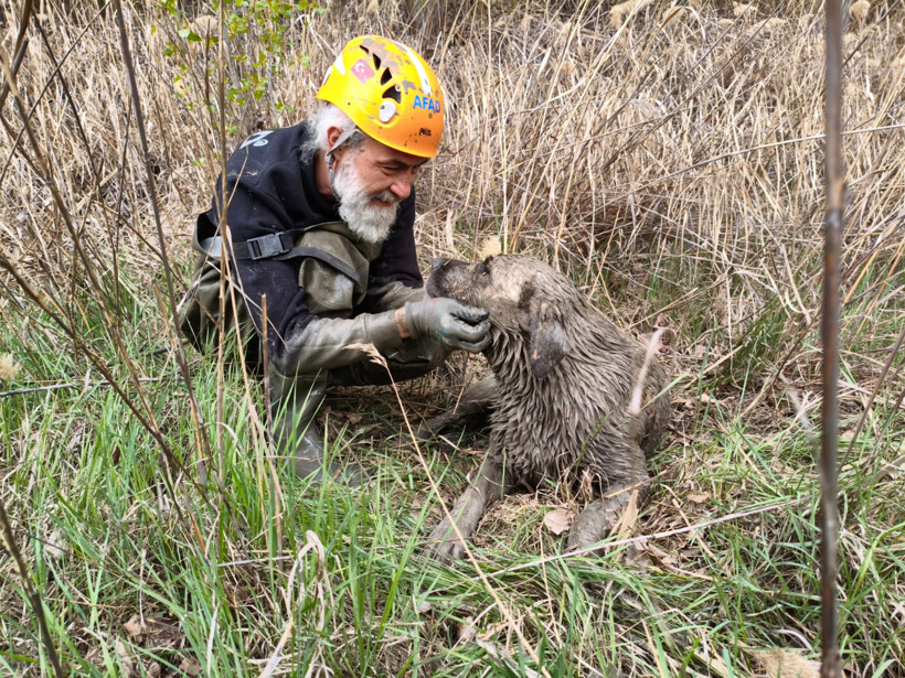 Eskişehir'de kuyuya düşen köpeği AFAD ekipleri kurtardı - Resim : 1