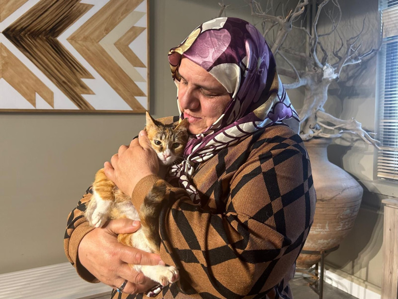 Depremzede kedi 'Defne'ye 2 yıl sonra yuva - Resim: 4