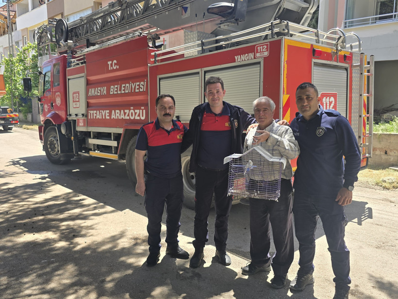 Kaçan muhabbet kuşunu yakalamak istedi, ağaçta mahsur kaldı - Resim : 1