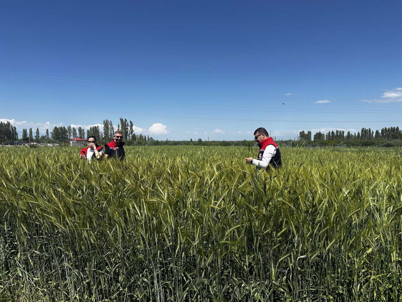 Hayvanlarına yem üretimi için kiraladığı araziden 1500 kamyon taş çıkardı, araziyi 7 yılda tarıma kazandırdı - Resim: 19
