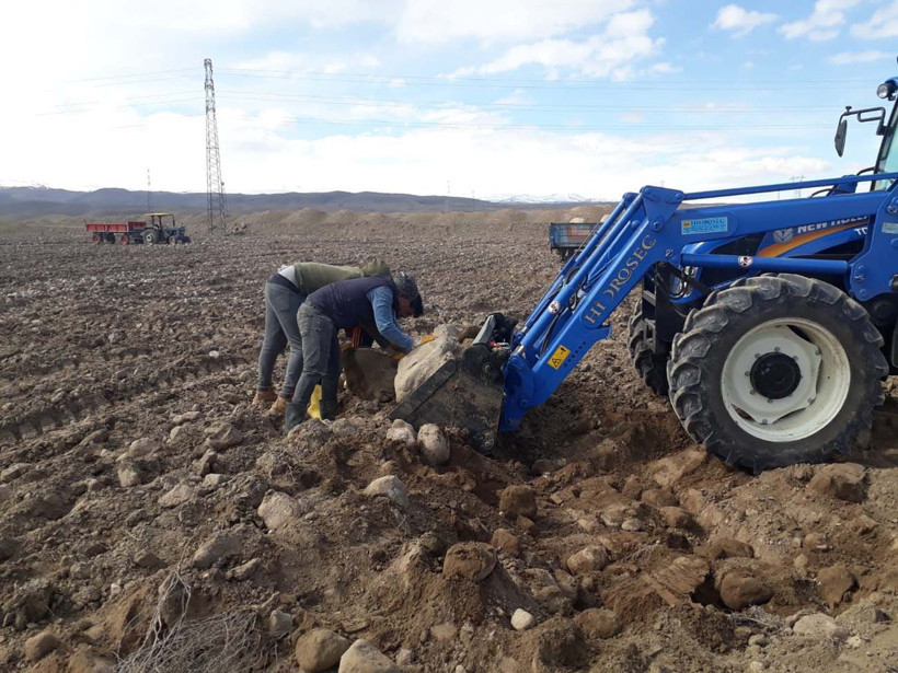Hayvanlarına yem üretimi için kiraladığı araziden 1500 kamyon taş çıkardı, araziyi 7 yılda tarıma kazandırdı - Resim: 2