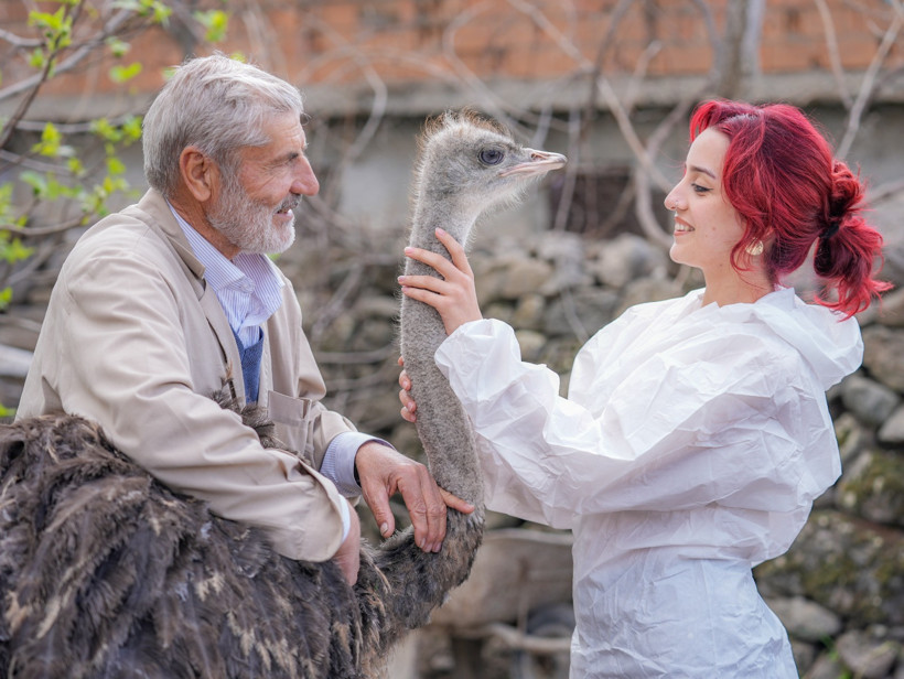 Yalnızlıktan strese giren firari deve kuşu Hüdhüd'e eş aranıyor - Resim : 1