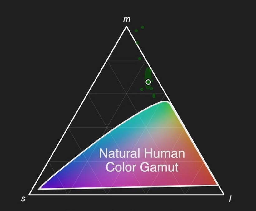 Bilim insanları, doğal yollarla algılanamayan yeni bir renk keşfetti - Resim : 1