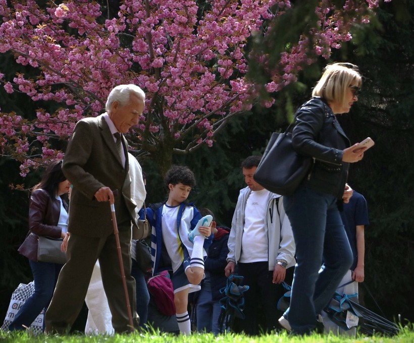 Ankara'nın Dikmen Vadisi, sakuralarla renklendi - Resim: 6